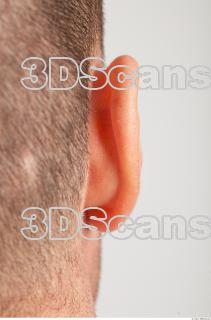 Ear texture of Williard  0002